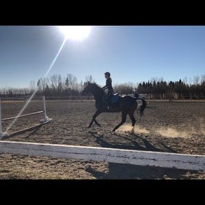 Meet your Posher, Ella